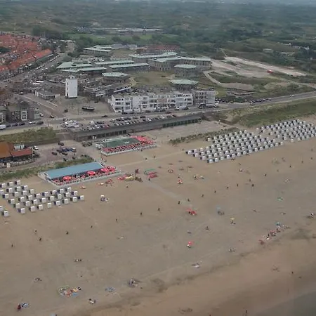 Zilvermeeuw - Drieplassenweg * Katwijk aan Zee