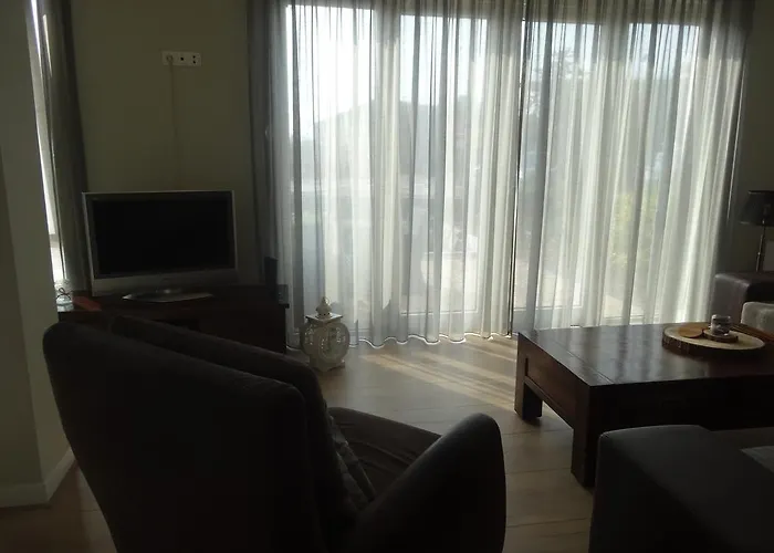 Zilvermeeuw - Drieplassenweg *