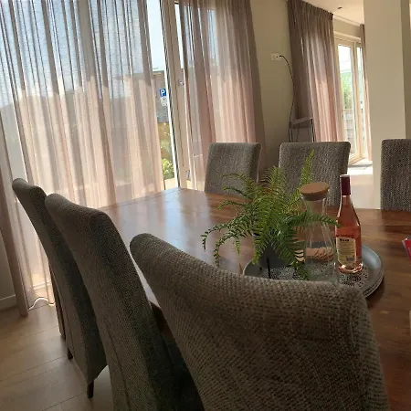 Zilvermeeuw - Drieplassenweg Katwijk aan Zee