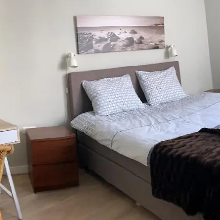 Zilvermeeuw - Drieplassenweg *