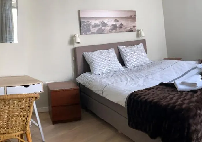 Zilvermeeuw - Drieplassenweg *