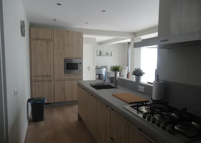 Zilvermeeuw - Drieplassenweg Katwijk aan Zee