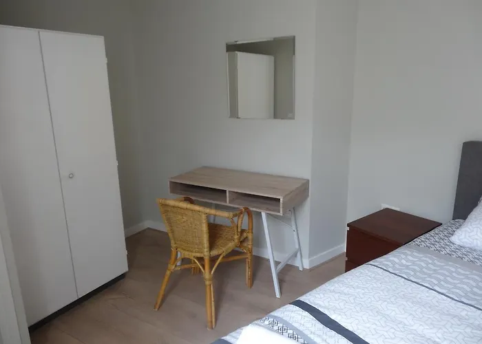 Zilvermeeuw - Drieplassenweg