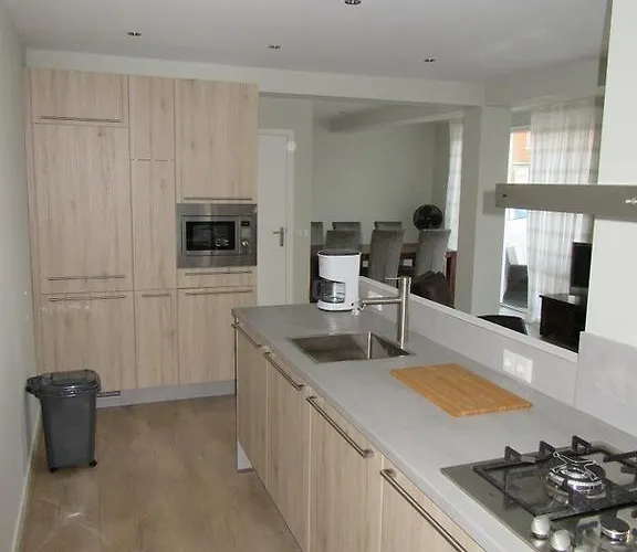 Zilvermeeuw - Drieplassenweg Katwijk aan Zee