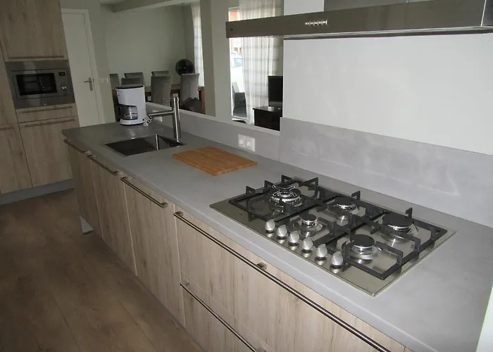 Zilvermeeuw - Drieplassenweg *