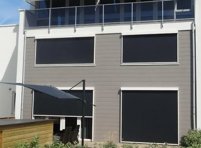 Zilvermeeuw - Drieplassenweg Katwijk aan Zee